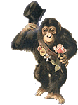 chimpance-imagen-animada-0042