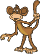 chimpance-imagen-animada-0065