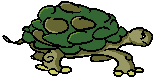 tortuga-imagen-animada-0040