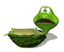 tortuga-imagen-animada-0089