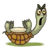 tortuga-imagen-animada-0142