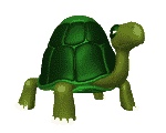 tortuga-imagen-animada-0155