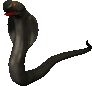 serpiente-y-culebra-imagen-animada-0036