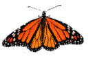 mariposa-imagen-animada-0031