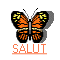 mariposa-imagen-animada-0045