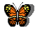 mariposa-imagen-animada-0047