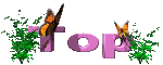 mariposa-imagen-animada-0061