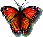 mariposa-imagen-animada-0118