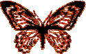 mariposa-imagen-animada-0170