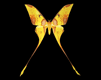 mariposa-imagen-animada-0177