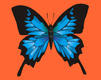 mariposa-imagen-animada-0178