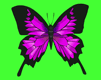 mariposa-imagen-animada-0180