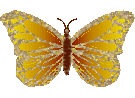 mariposa-imagen-animada-0213