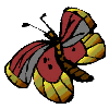 mariposa-imagen-animada-0223