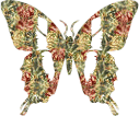 mariposa-imagen-animada-0242