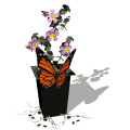 mariposa-imagen-animada-0268