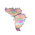 mariposa-imagen-animada-0303