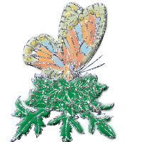 mariposa-imagen-animada-0348