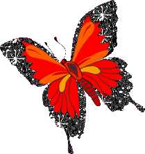 mariposa-imagen-animada-0368