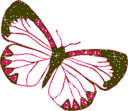 mariposa-imagen-animada-0370