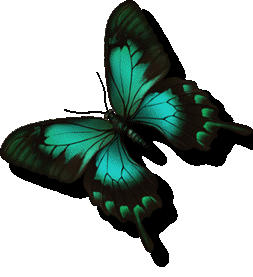 mariposa-imagen-animada-0394