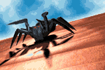 arana-imagen-animada-0013