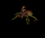 arana-imagen-animada-0022