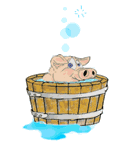 cerdo-puerco-y-cochino-imagen-animada-0014