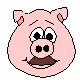 cerdo-puerco-y-cochino-imagen-animada-0021