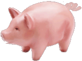 cerdo-puerco-y-cochino-imagen-animada-0041