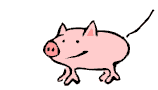 cerdo-puerco-y-cochino-imagen-animada-0062