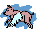 cerdo-puerco-y-cochino-imagen-animada-0166