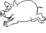 cerdo-puerco-y-cochino-imagen-animada-0183