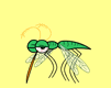 insecto-imagen-animada-0110