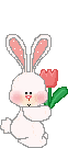 conejo-imagen-animada-0016