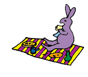 conejo-imagen-animada-0045