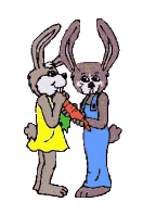 conejo-imagen-animada-0050