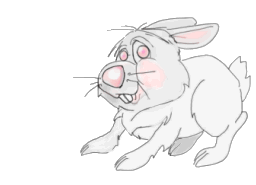 conejo-imagen-animada-0074