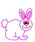 conejo-imagen-animada-0079