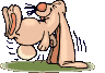 conejo-imagen-animada-0084