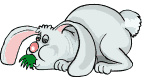 conejo-imagen-animada-0085