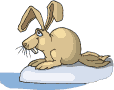conejo-imagen-animada-0101