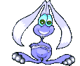 conejo-imagen-animada-0116