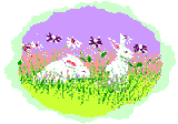 conejo-imagen-animada-0121