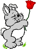 conejo-imagen-animada-0128