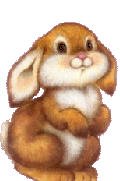 conejo-imagen-animada-0320