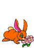 conejo-imagen-animada-0623