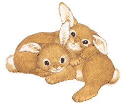 conejo-imagen-animada-0631