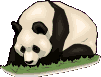 panda-imagen-animada-0049