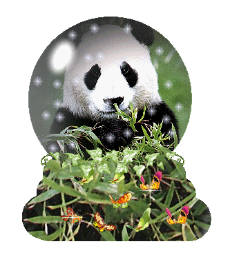 panda-imagen-animada-0093